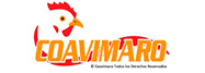 c2